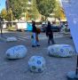 Mosaic Rocks